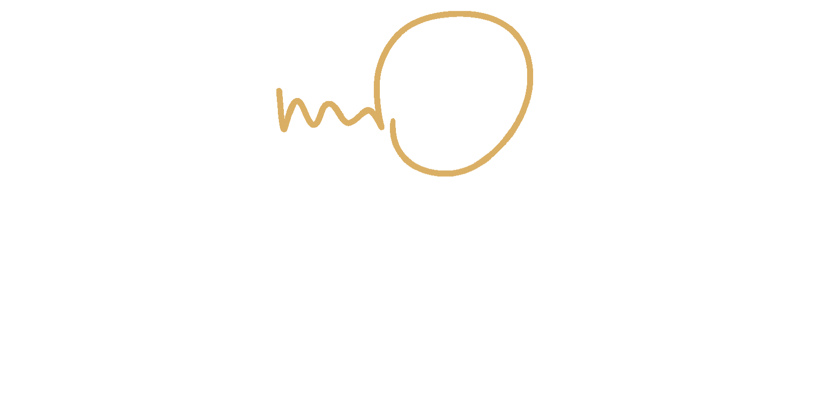 An Evening With...